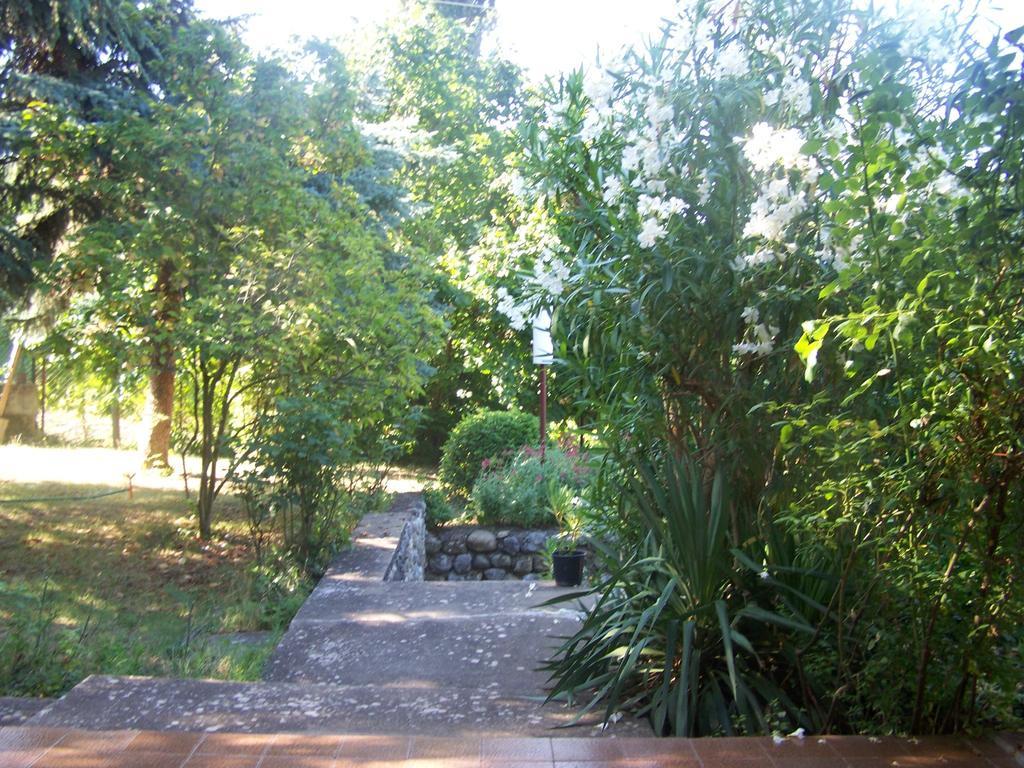 Vila Popovski Ljubaništa Camera foto