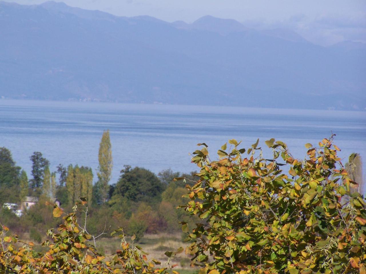Vila Popovski Ljubaništa Esterno foto